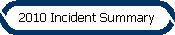2010 Incident Summary